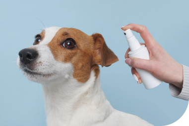 Neutralizator zapachów dla zwierząt​